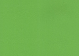 RAL 6018